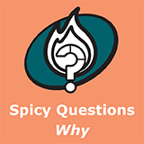 Spicy Why 241115